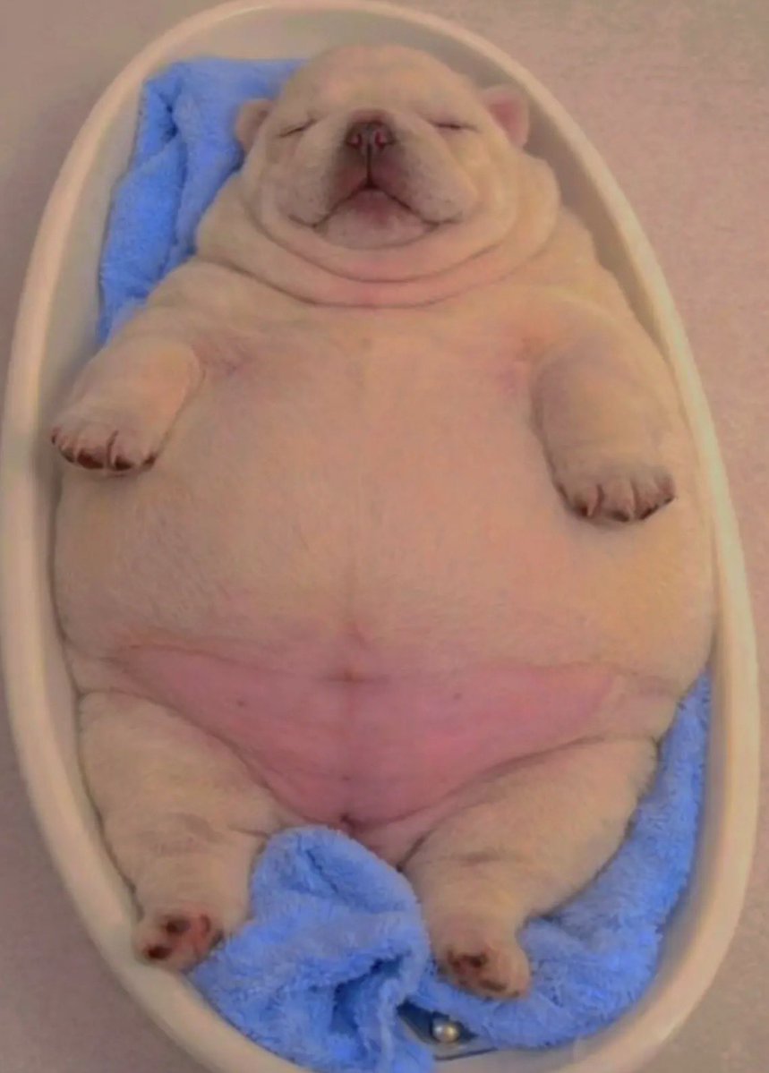 Yoojin Choko ❤︎ bday april 7th tweet media