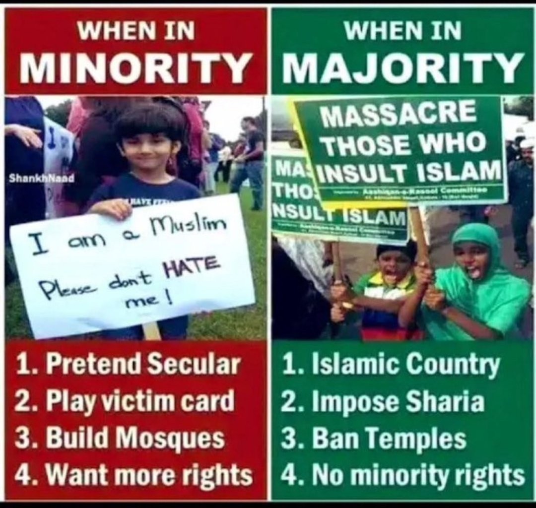 Liber.Nation tweet media