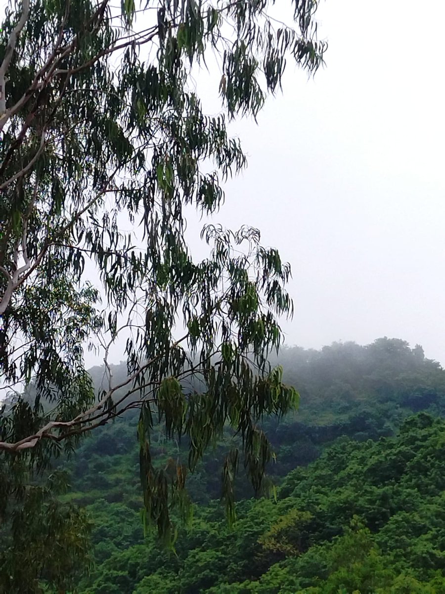 عرشي .Dr tweet media