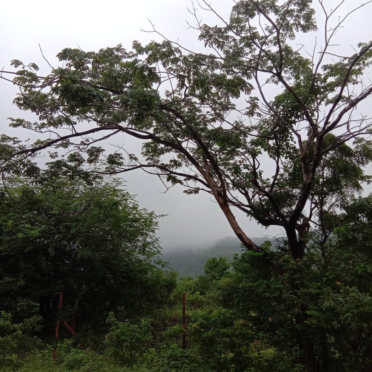 عرشي .Dr tweet media