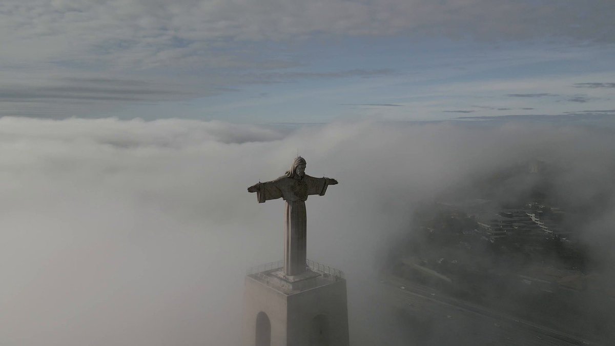 Vivienne 🏴‍☠️🪴 tweet media