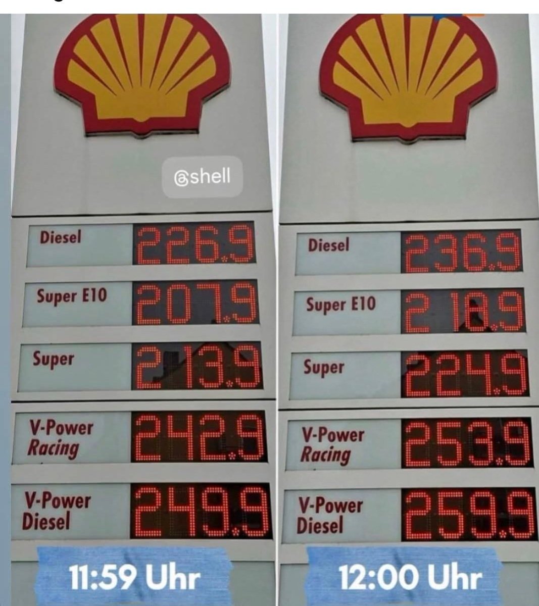 Vivian Mayer tweet media