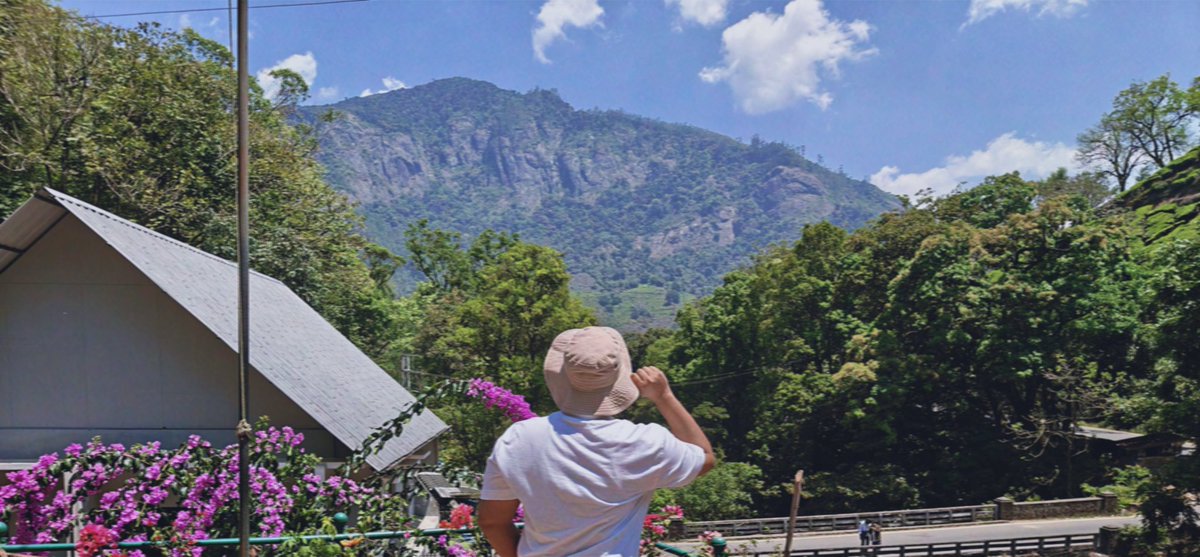 Prady Tripathi☄️ tweet media