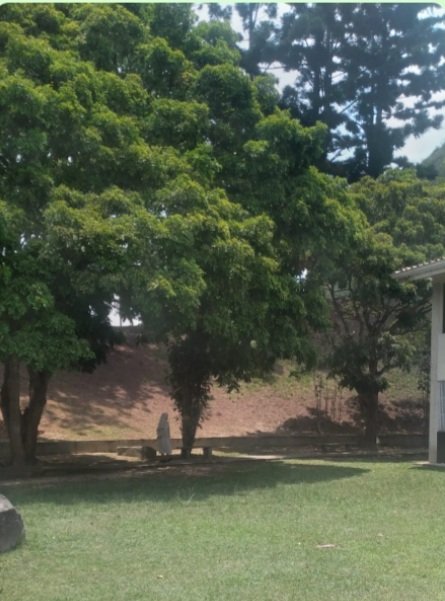 Sor nubia marin tweet media