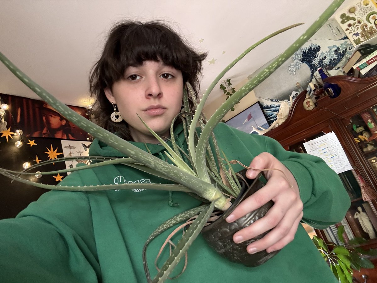 spencer 𓆟 tweet media