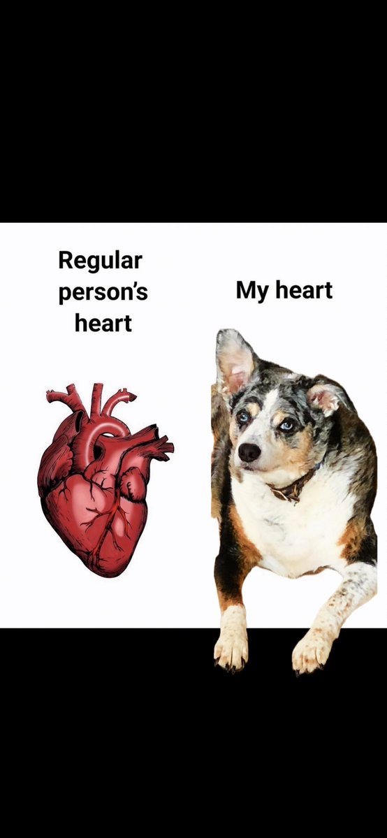 Alaska Kat tweet media