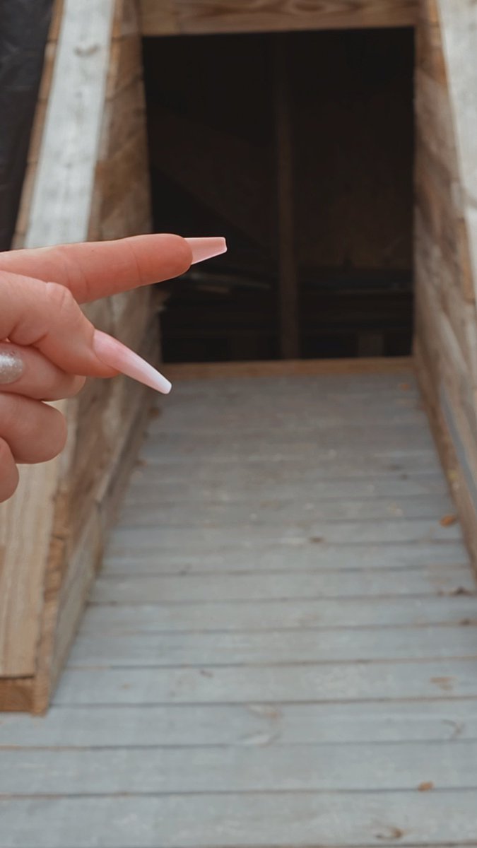 Goddess Momme tweet media