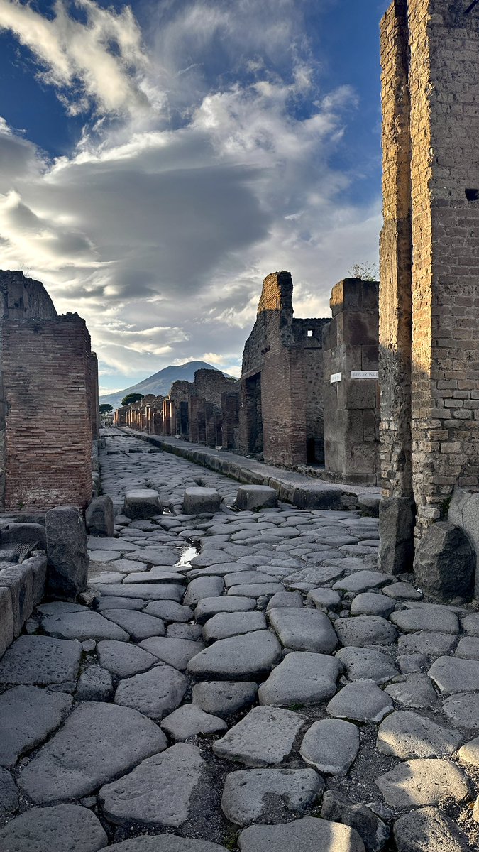 Dr Sophie Hay tweet media