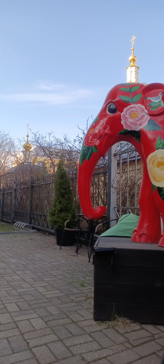 Елисавета Патрикевна tweet media