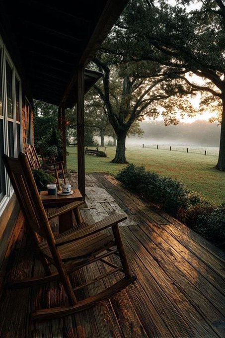 Kargılı tweet media