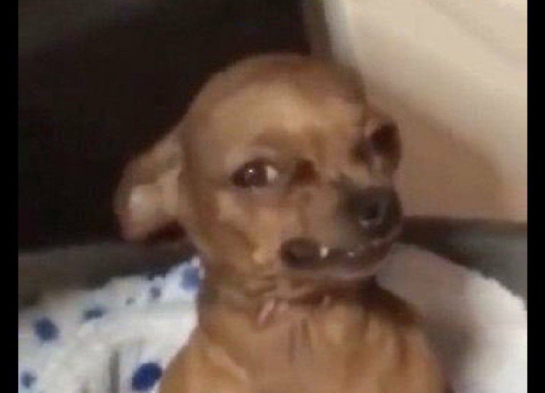 Tabitha Ampumuza tweet media