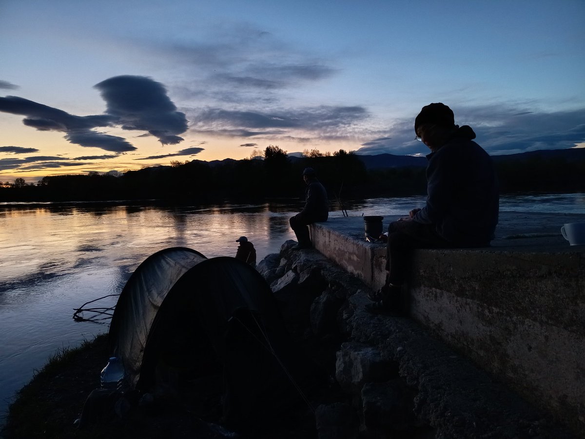 Melchior Meijer tweet media