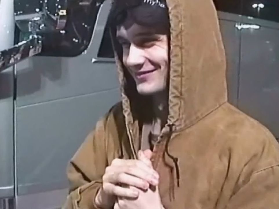 lady bird tweet media