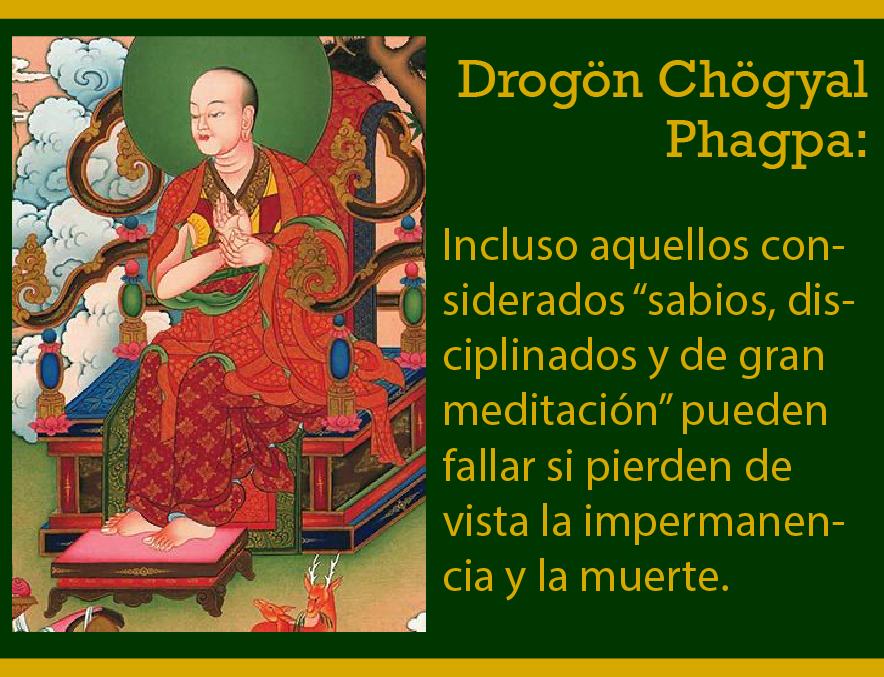 Dechen México tweet media