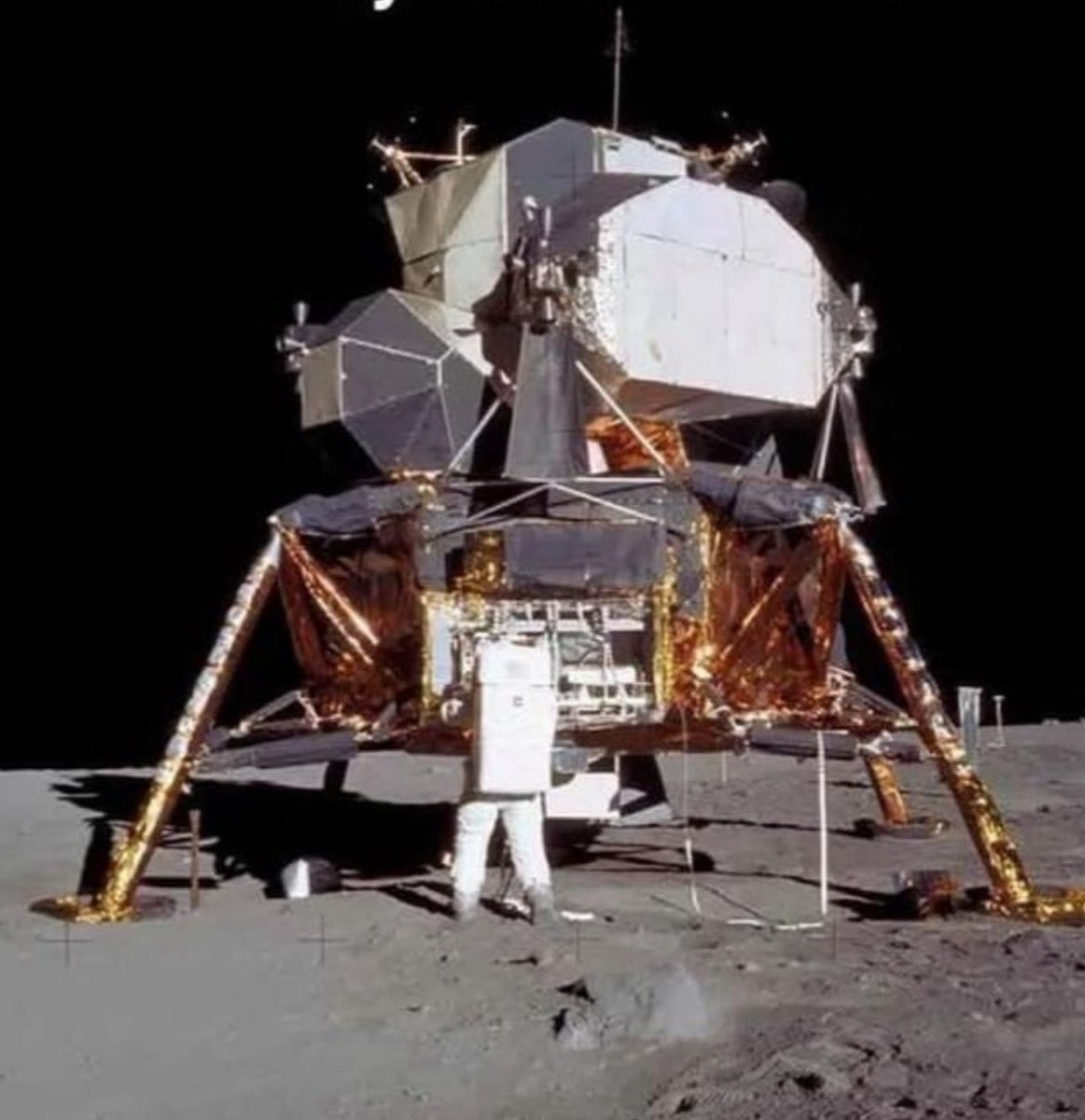 leilani dowding 🌸🚜 ☮️ tweet media