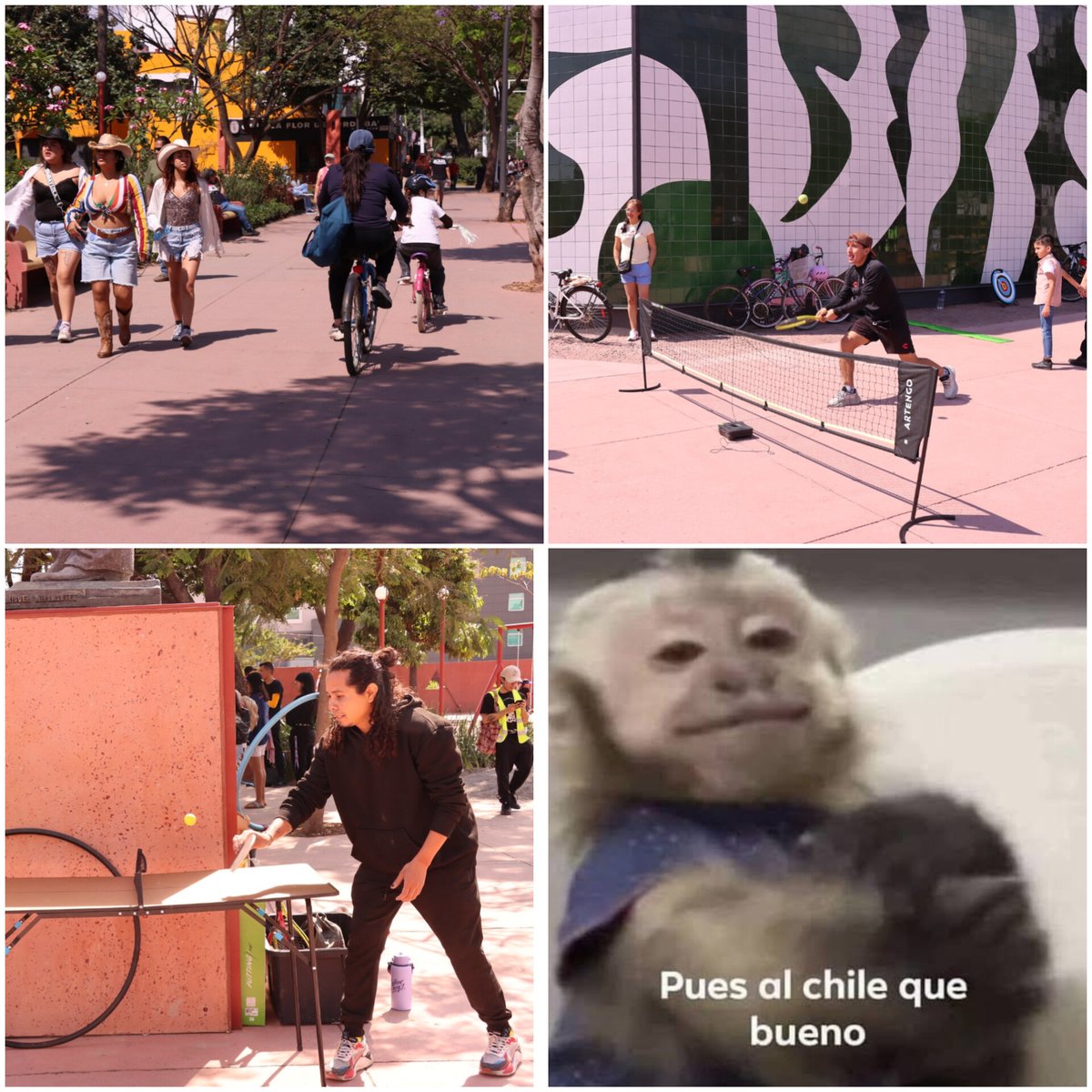 Jalisco Rojo tweet media