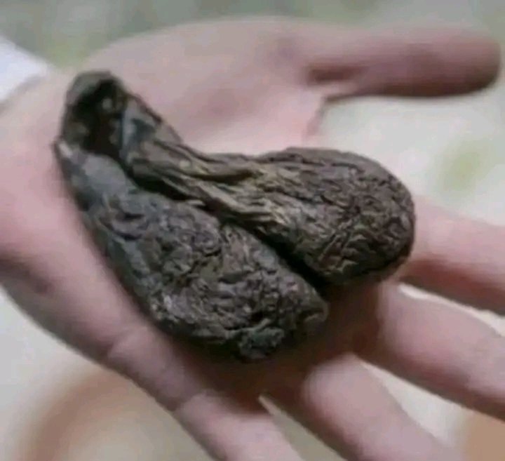 ابوالفAbu Alf tweet media