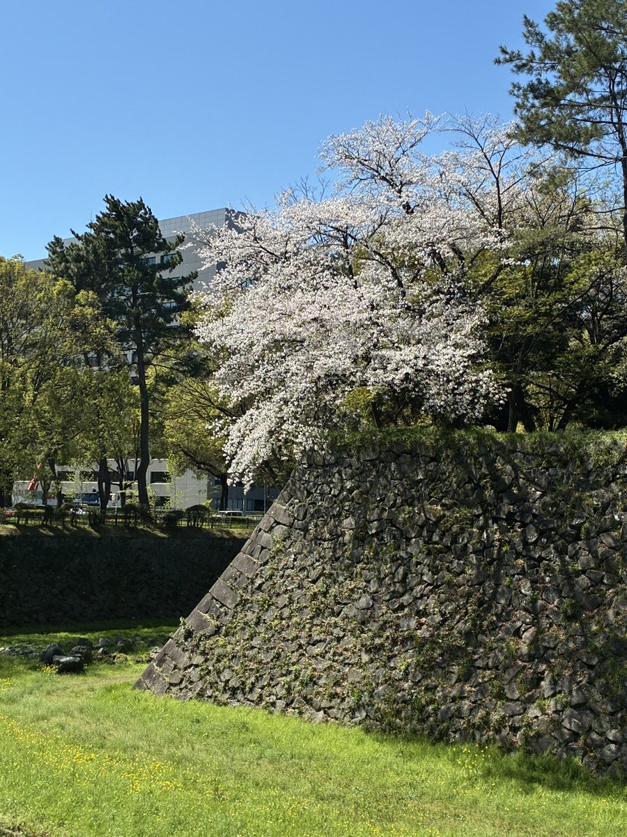 りょーた。 tweet media