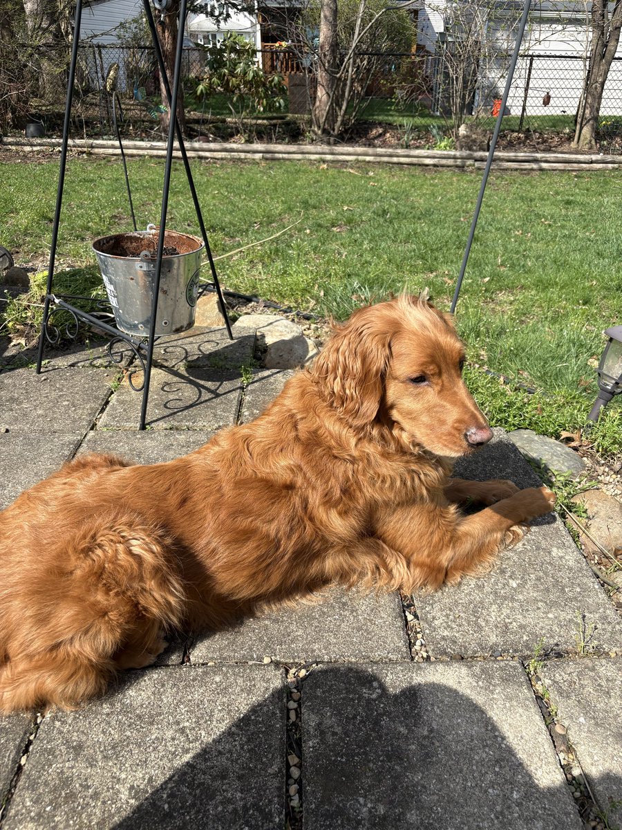 Cooper Jack & Biggie Smalls tweet media