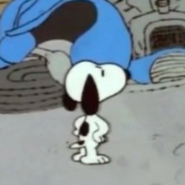 rai | studytwt tweet media