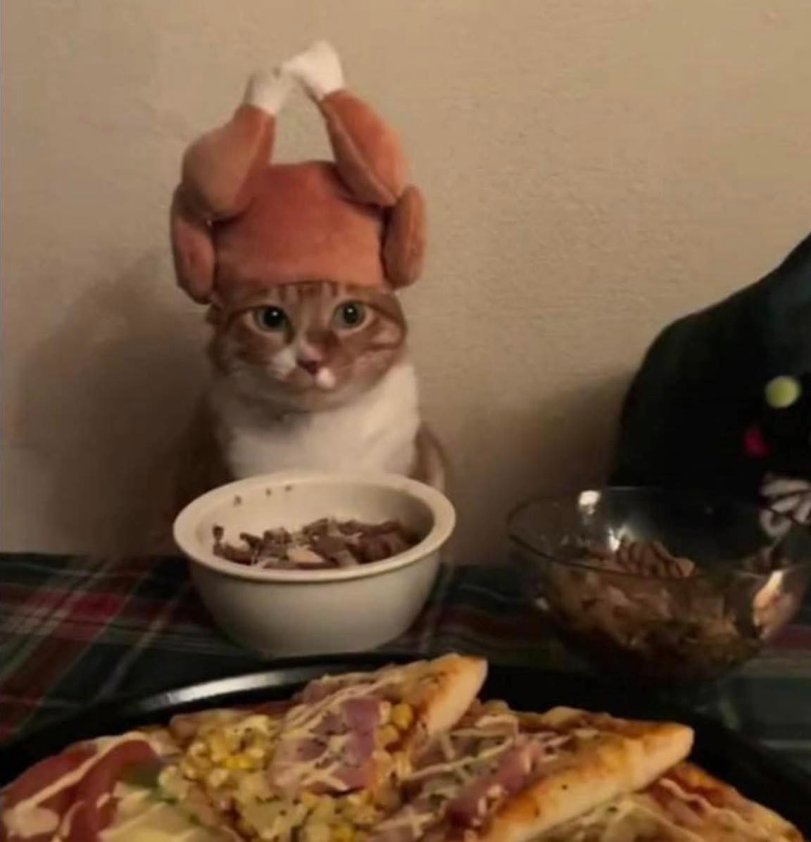 Your Kotek Gganbu tweet media