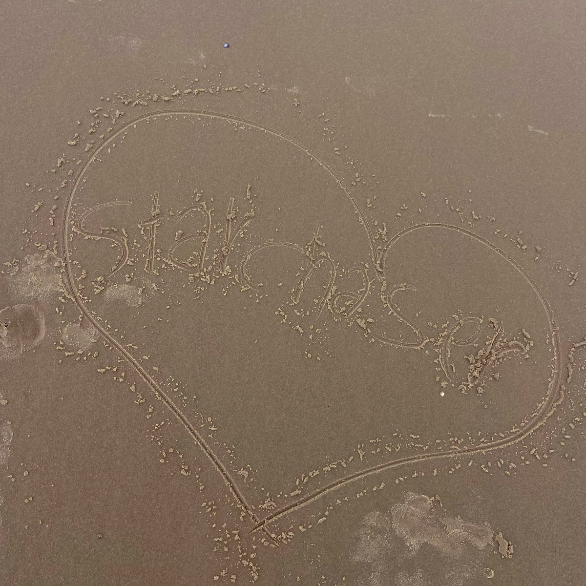 acervostarchase's tweet image. #starchaser