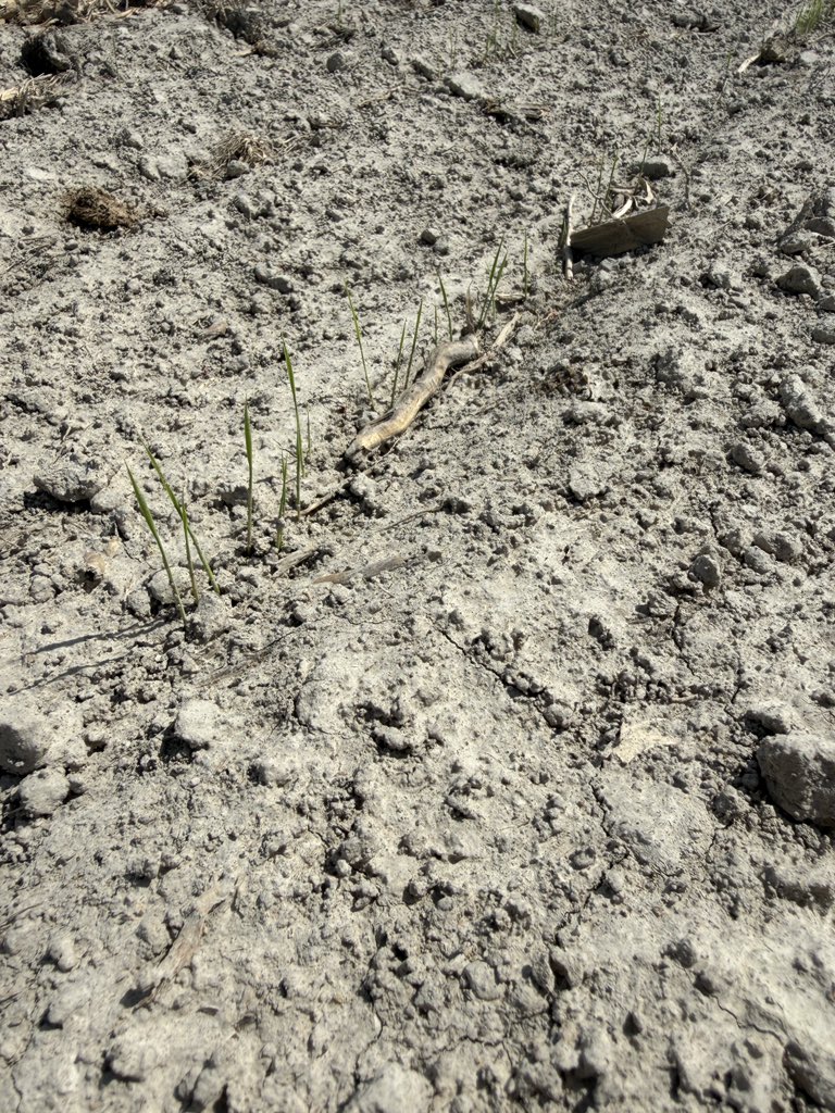 Tyler Hydrick tweet media