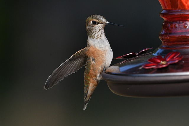 Erick Cherry tweet media