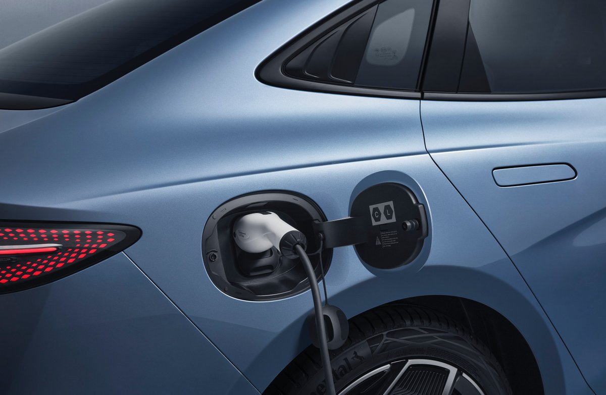 Stella Li tweet media