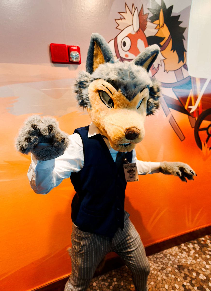 _DaGoshi_🔜Furg/AC tweet media