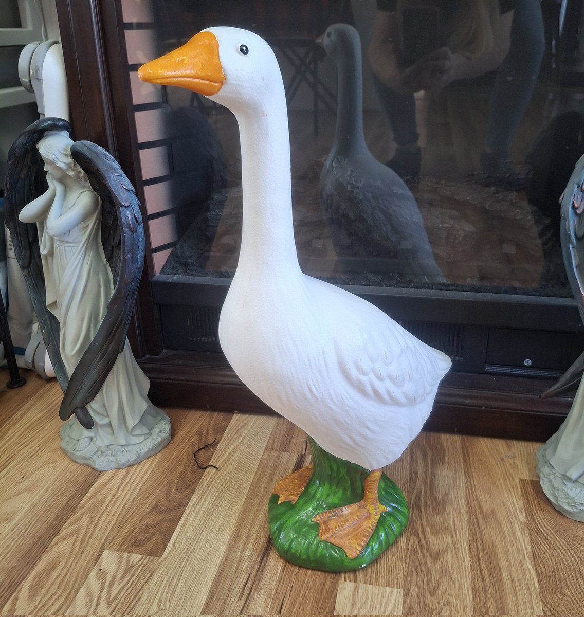 Nana The Bird Lady tweet media