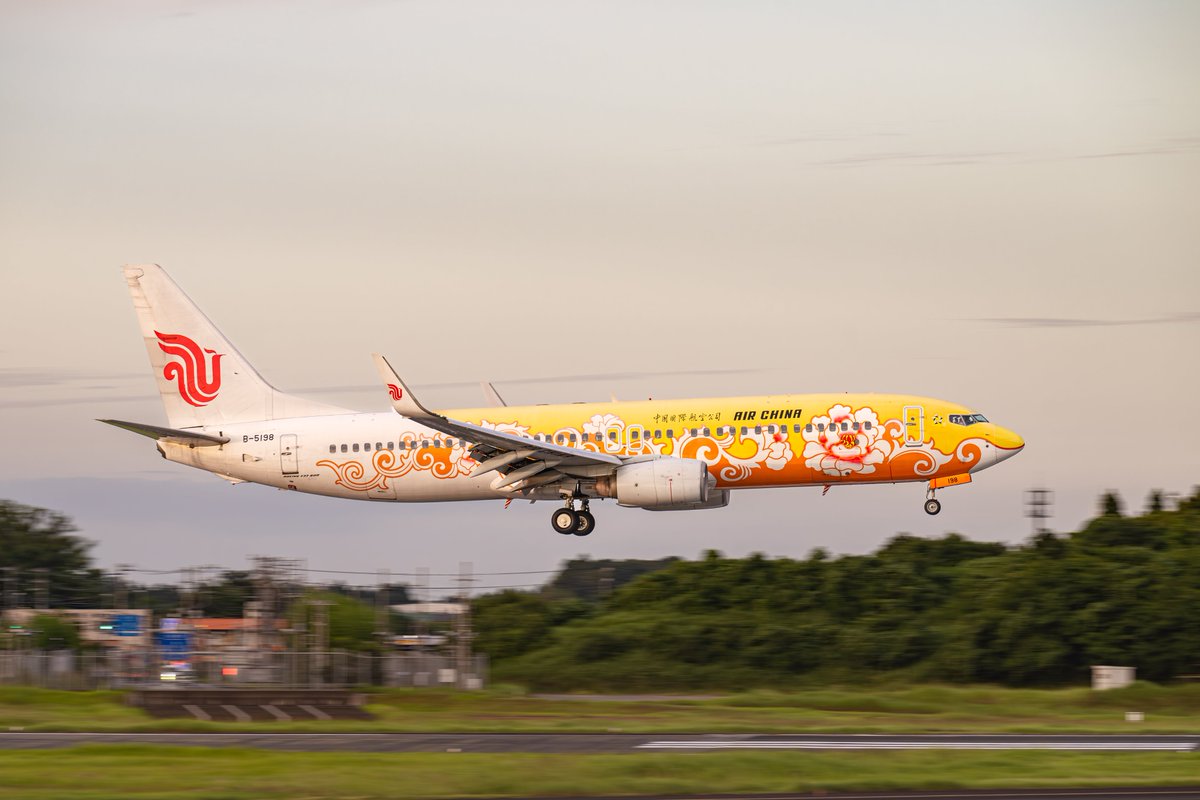 秋山夕云✂️ tweet media