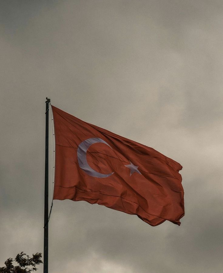 zeynep ☪︎ tweet media