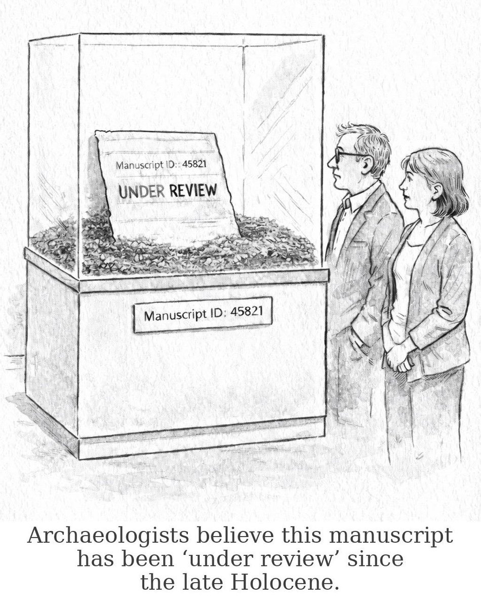 John B. Holbein tweet media