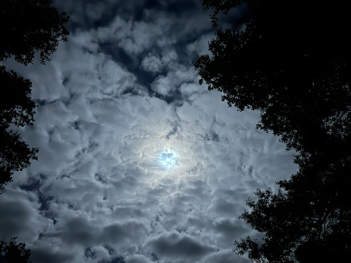 Nonentity. tweet media