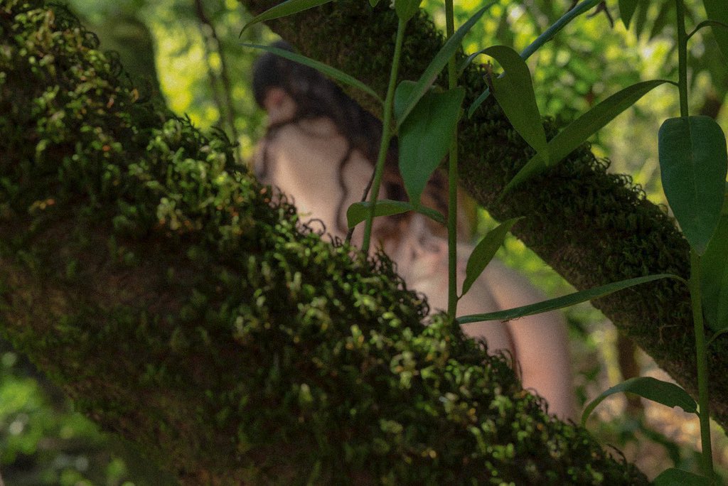 ๐๐ข๐ฅ๐ ๐๐๐๐ซ | ๐๐๐ tweet media