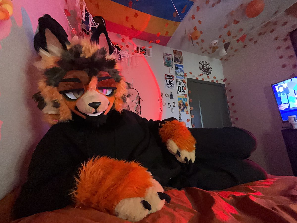 Zeno 🍊 tweet media