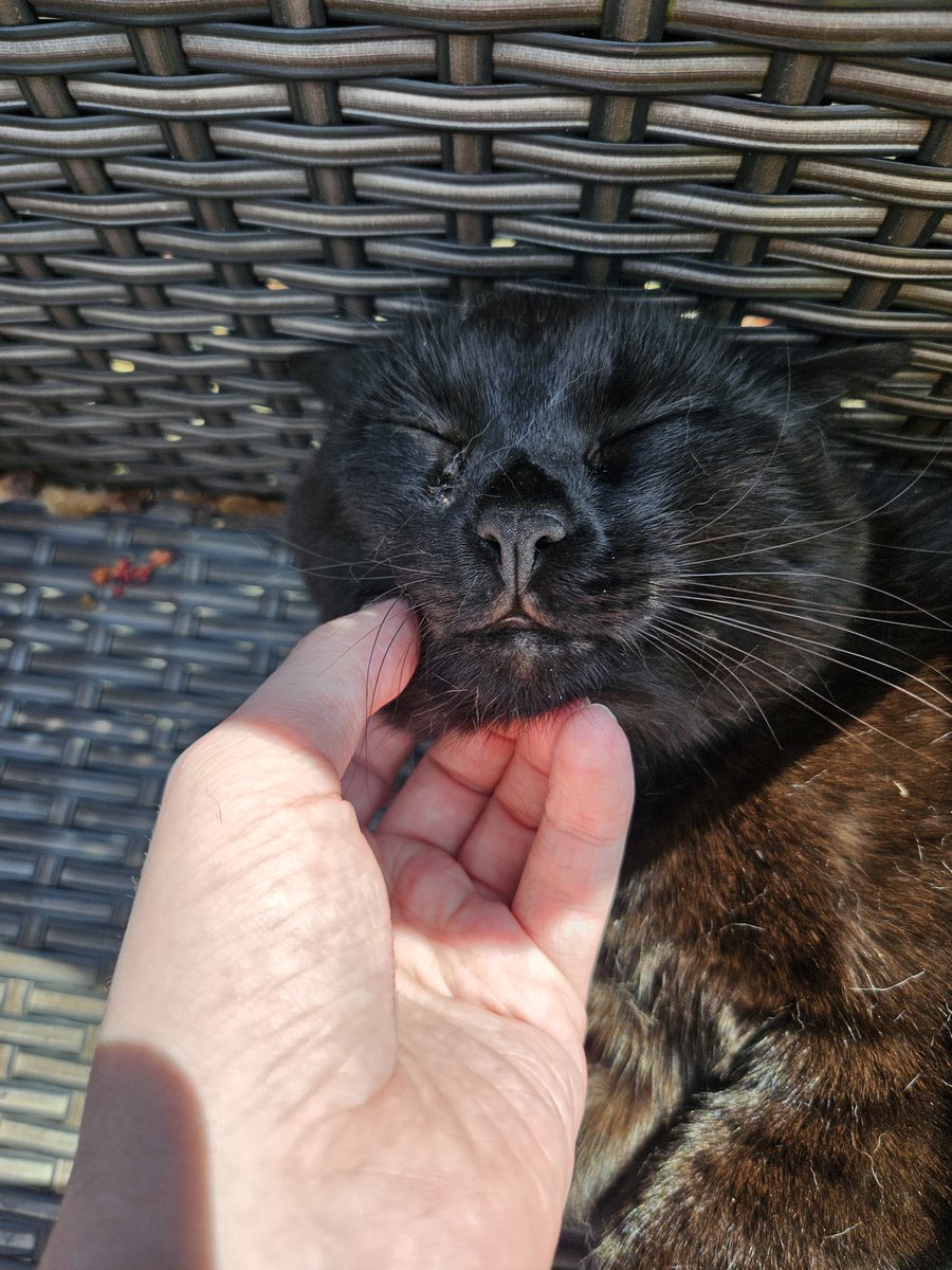 ^w^