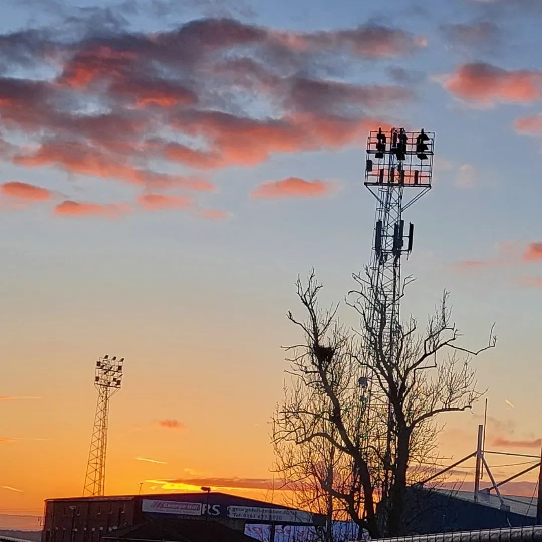 Arlene Finnigan 💙 tweet media