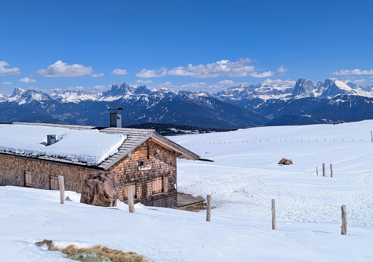 Die Bergziege tweet media