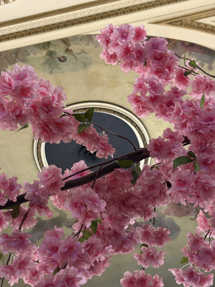 Kikibel ✨ tweet media