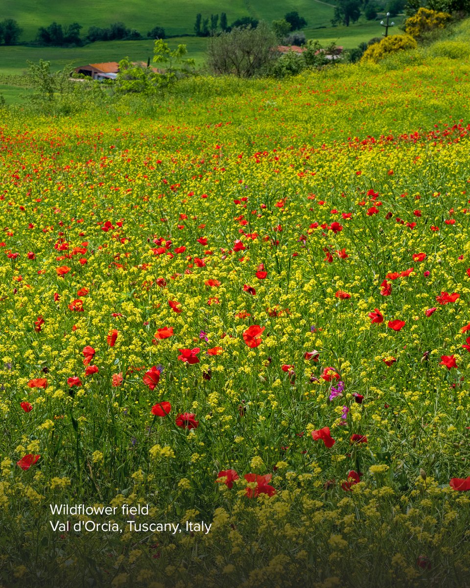 In Touch Ministries tweet media