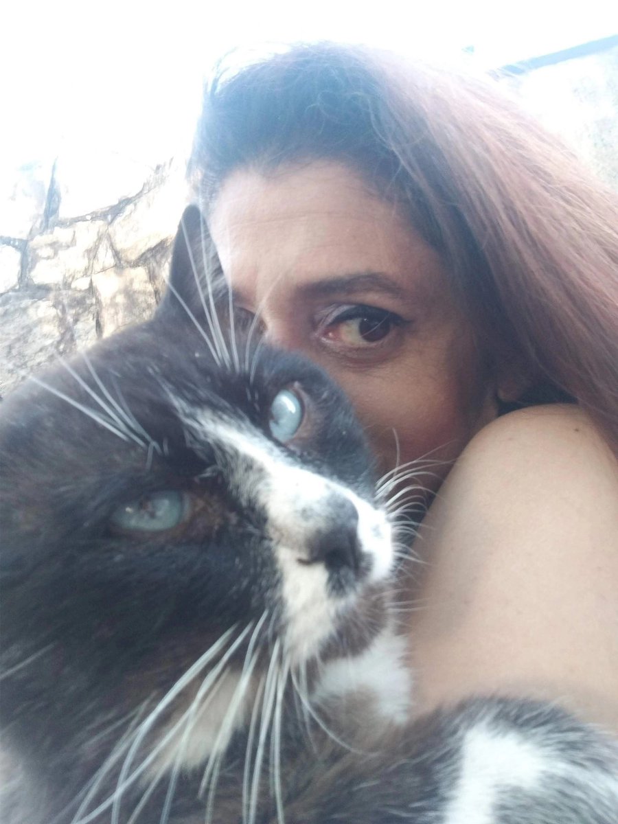 Jamile Chahine tweet media