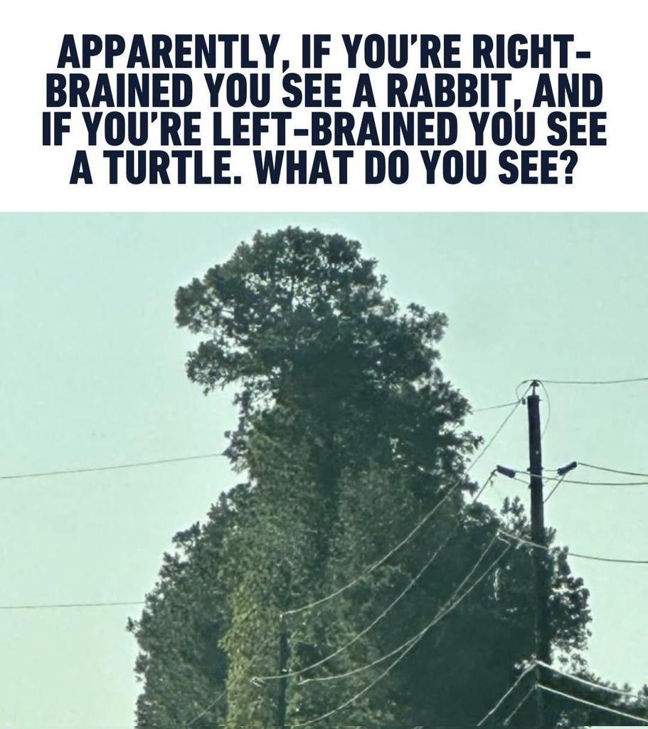 Jessica Rani ❤️ tweet media