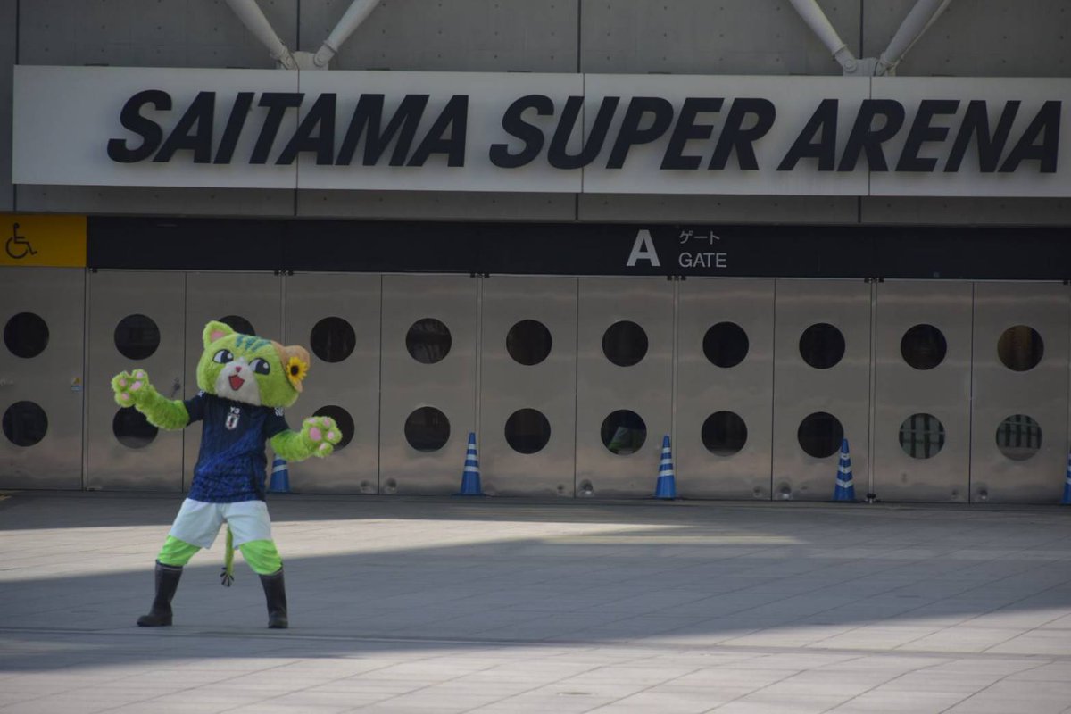 のらねこくん tweet media