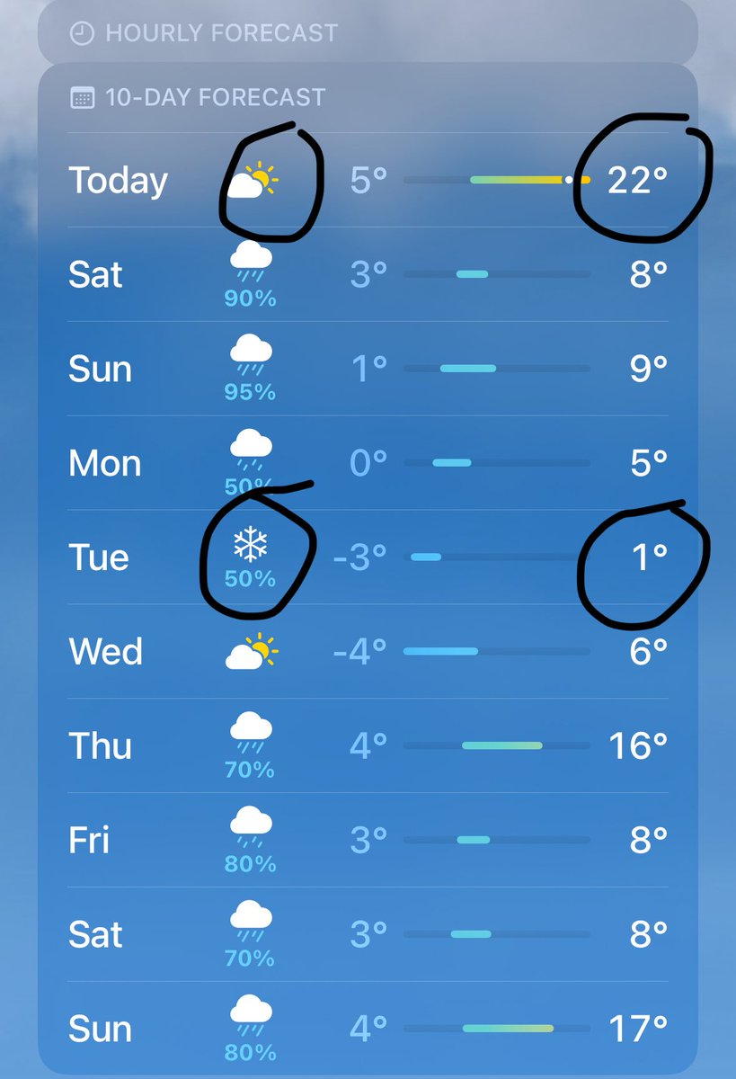 lauren 𝜗𝜚༉‧₊˚. tweet media