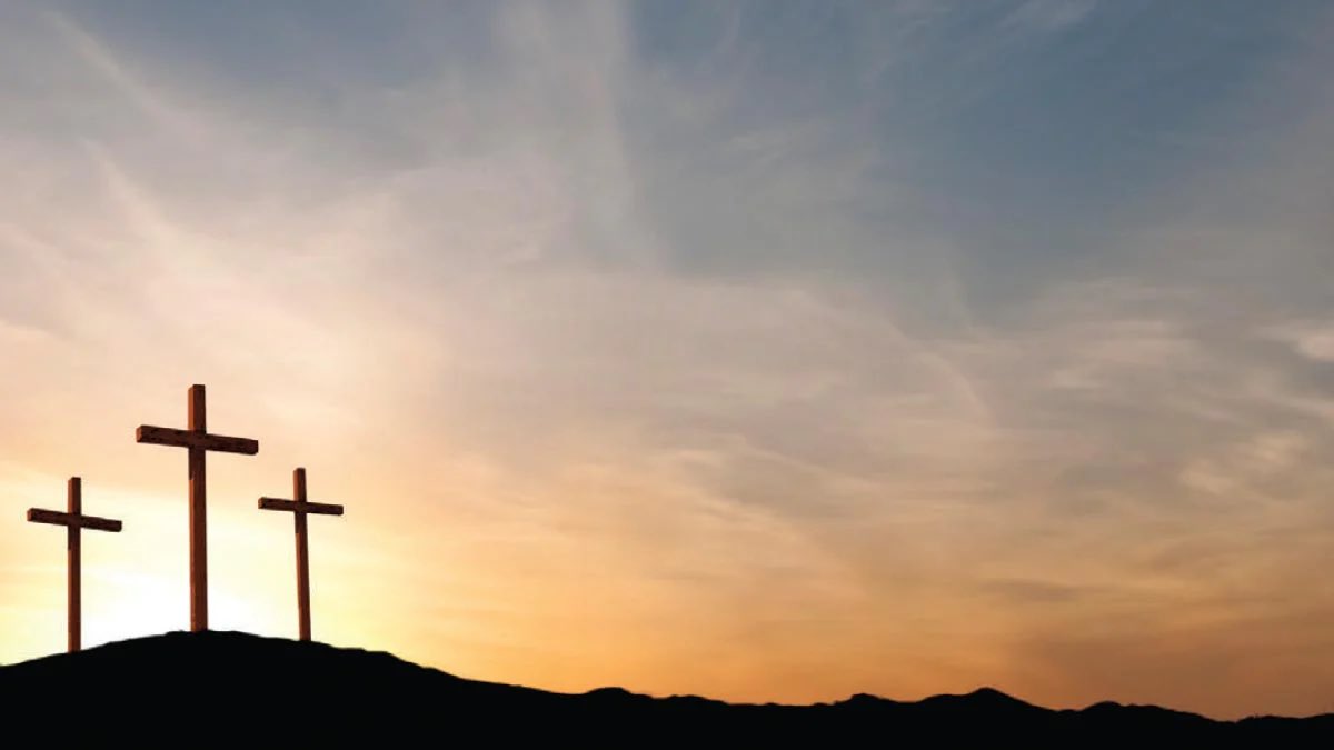 William Wolfe 🇺🇸 tweet media