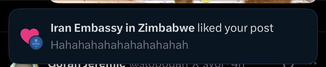 🇧🇦(buмping тhат) ✨ tweet media