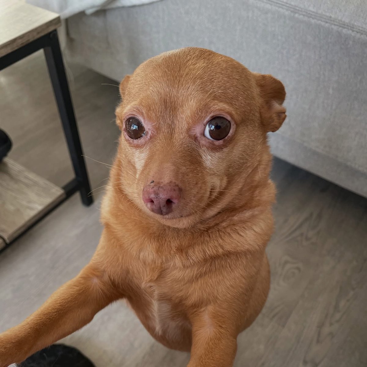 🧸 LAUREN 🧸 tweet media