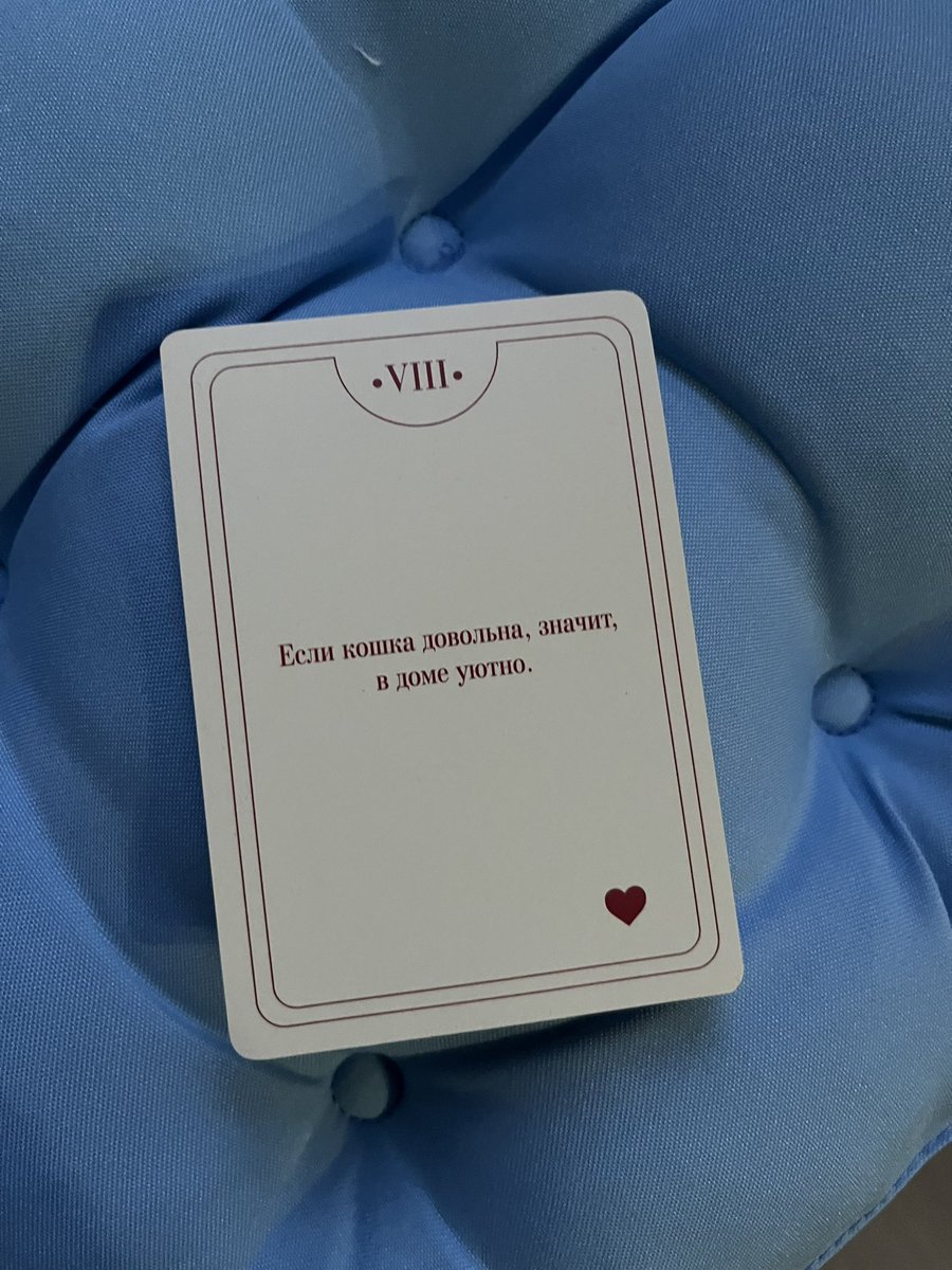 О, Даша tweet media